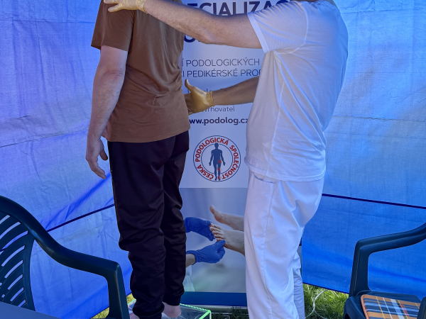 Jarmark chutí, Teplice