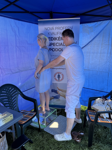 Jarmark chutí, Teplice