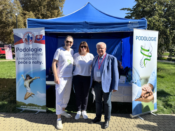 Jarmark chutí, Teplice