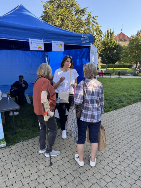 Jarmark chutí, Teplice