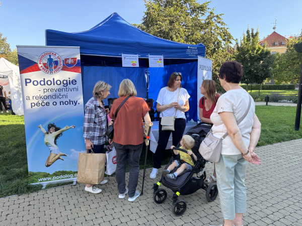 Jarmark chutí, Teplice