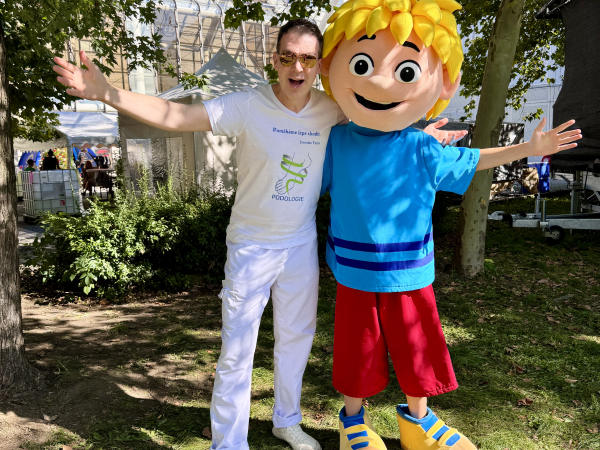 Jarmark chutí, Teplice