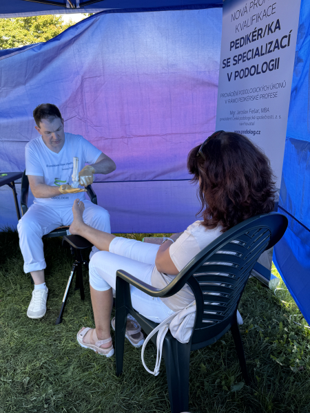 Jarmark chutí, Teplice