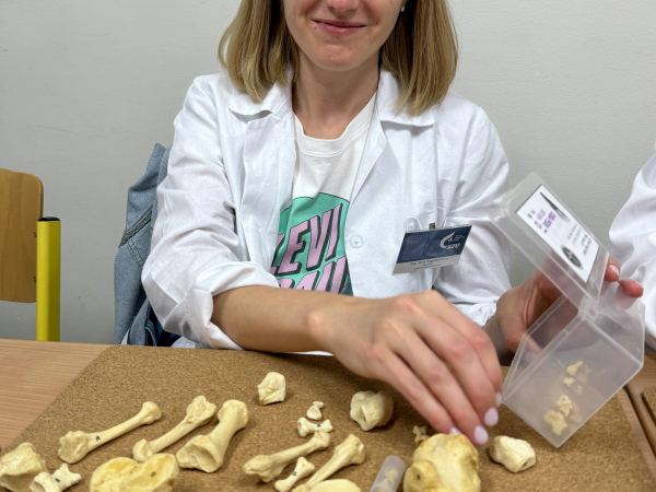 Odborný kurz podologie 2025